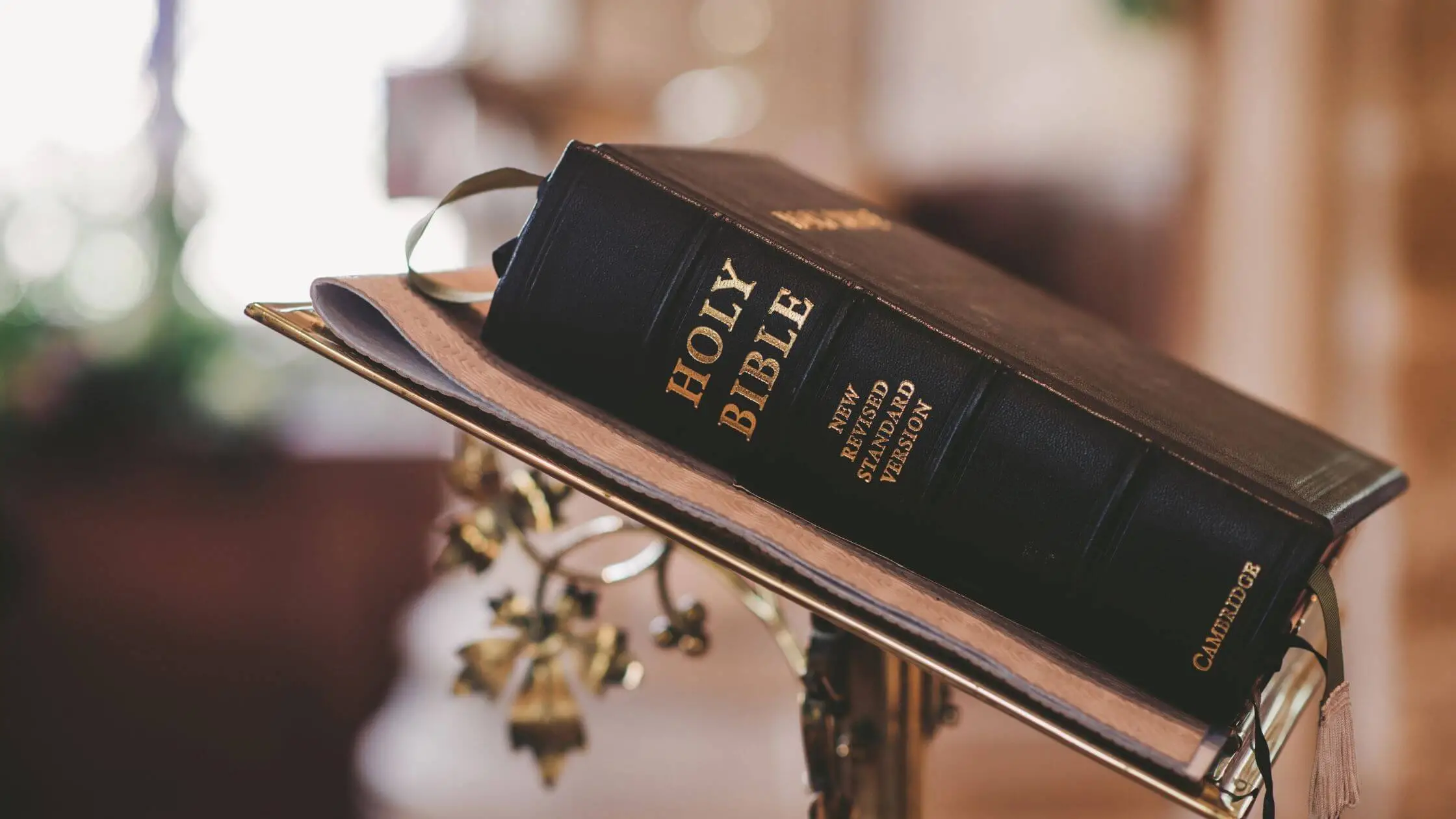 10 Easy Steps To Understand The Bible