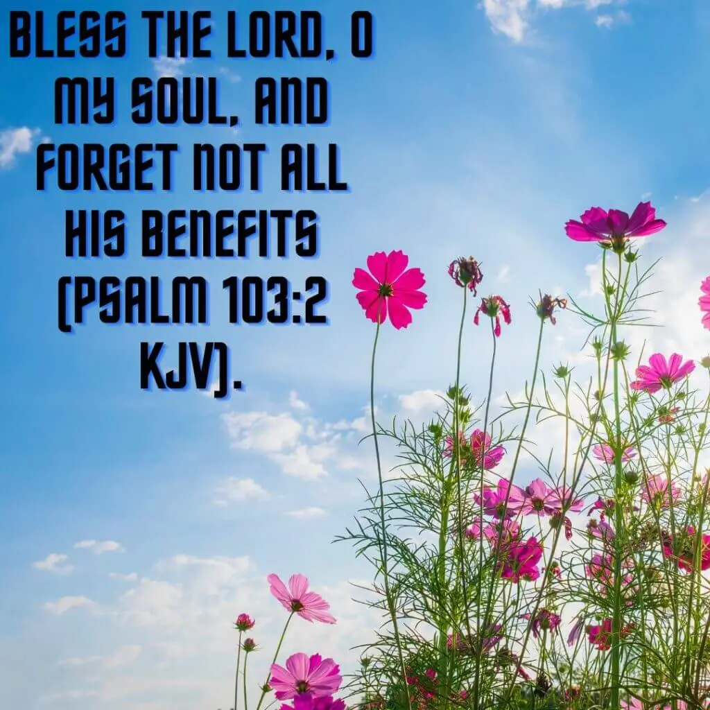 Kkychristianblog bible Quote 